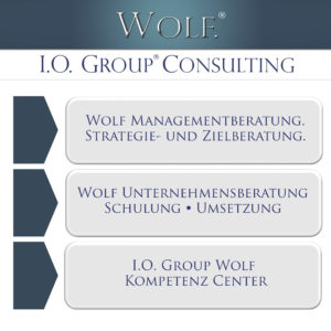 IOGW Consulting, Realisierung, Training, Controlling