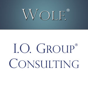 Wolf I.O. Group Consulting