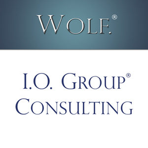 I.O. Group® Wolf® Consulting